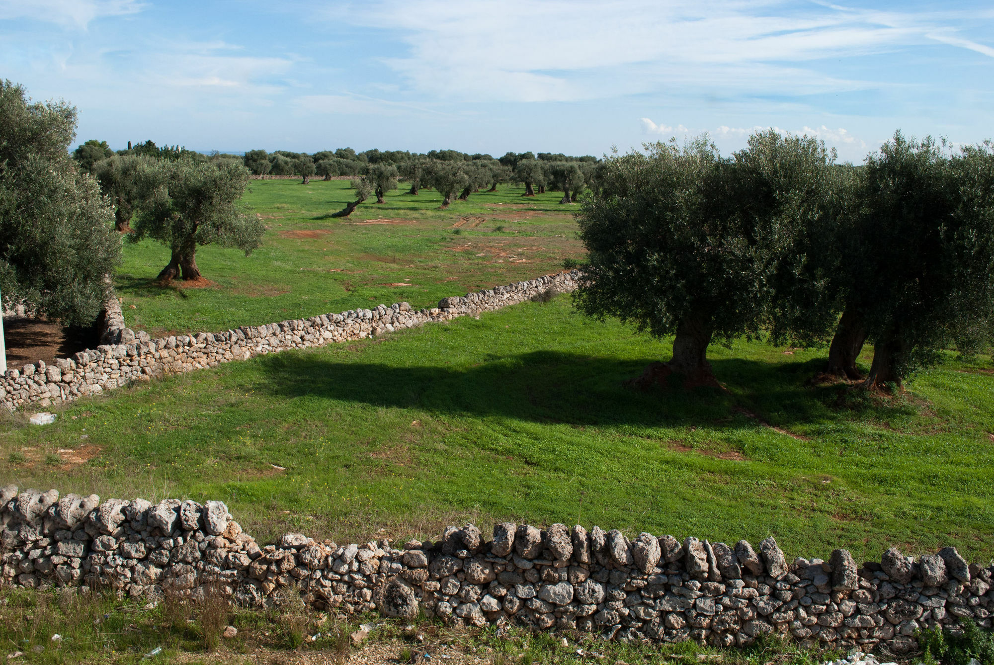 Masseria Lama D'Impisa Fasano Eksteriør billede